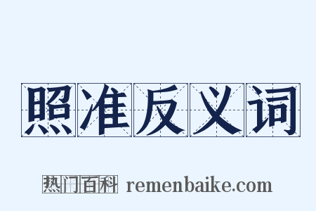 照准反义词是什么意思的图片